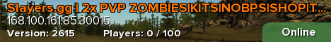 Slayers.gg | 2x PVP ZOMBIES|KITS|NOBPS|SHOP|TP